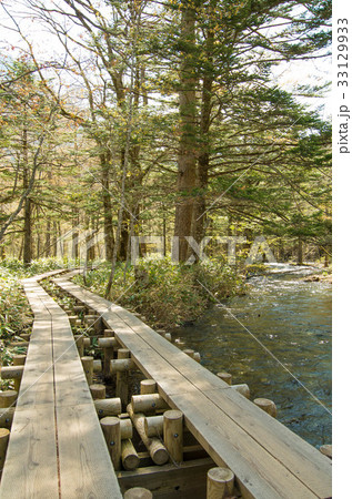 中部山岳国立公園　上高地の遊歩道（木道）と清流　縦 33129933