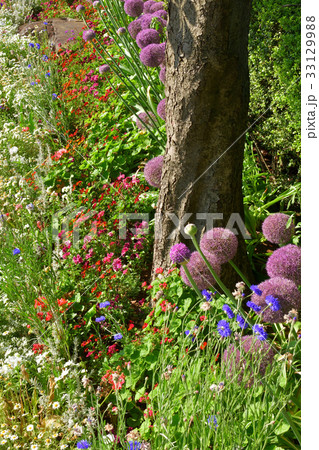 全国都市緑化よこはまフェア・港の見える丘公園会場 33129988