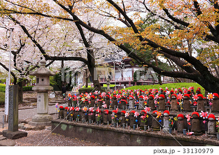 満開の桜の下で並ぶ地蔵たち 33130979