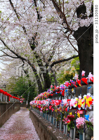 満期の桜の下で回る風くるま 33130980