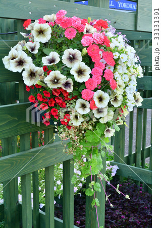 全国都市緑化よこはまフェア・港の見える丘公園会場 33131391