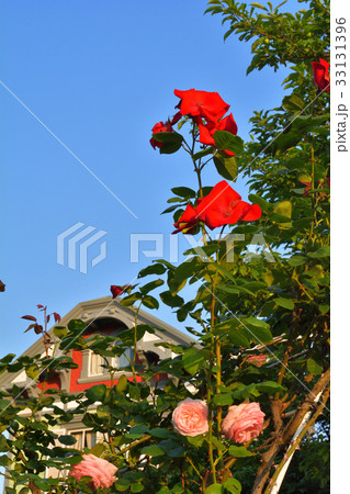 横浜・山手 33131396