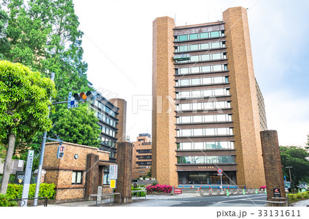 東京大学本部棟と竜岡門 東京大学本部棟と竜岡門 33131611