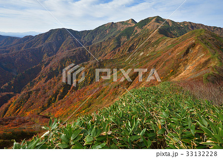 秋の上越国境稜線 小穂口の頭付近から下津川山へと続く草紅葉の尾根 秋の上越国境稜線 小穂口の頭付近から下津川山へと続く草紅葉の尾根 33132228
