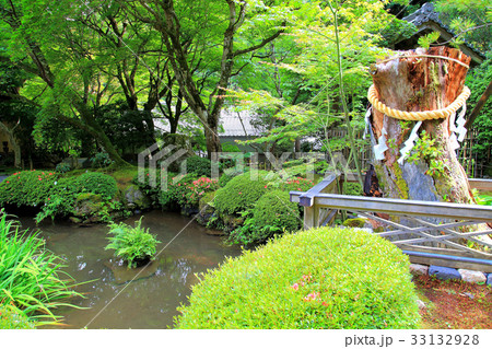 大原　尼寺　寂光院 33132928