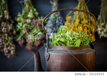 Tea kettle full of herbs. Hanging medicinal herbs. Tea kettle full of herbs. Hanging medicinal herbs. 33133321