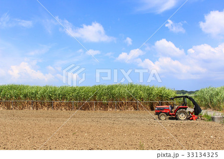 耕運機とサトウキビ畑 33134325