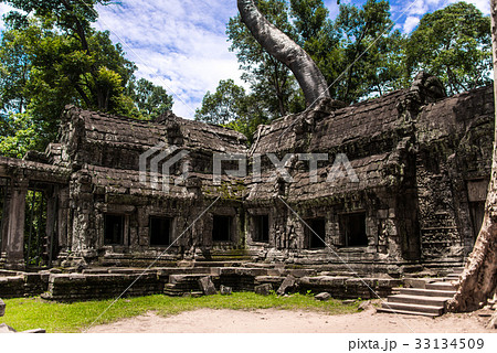 Ta Prohm temple in jungles, Siem Riep, Cambodia Ta Prohm temple in jungles, Siem Riep, Cambodia 33134509