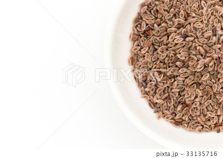シリウム種子　サイリウムシード　オオバコ種子: Psyllium seeds 33135716