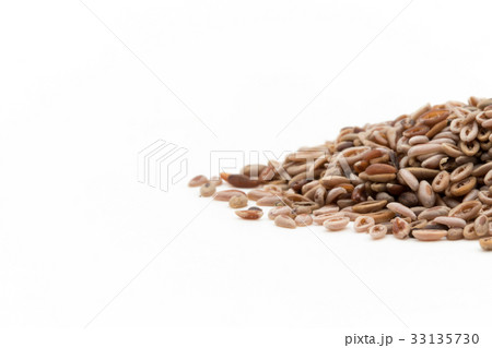 シリウム種子 サイリウムシード オオバコ種子: Psyllium seeds シリウム種子 サイリウムシード オオバコ種子: Psyllium seeds 33135730