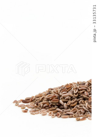 シリウム種子　サイリウムシード　オオバコ種子: Psyllium seeds 33135731