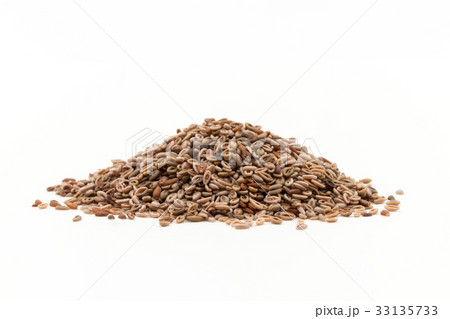 シリウム種子 サイリウムシード オオバコ種子: Psyllium seeds シリウム種子 サイリウムシード オオバコ種子: Psyllium seeds 33135733