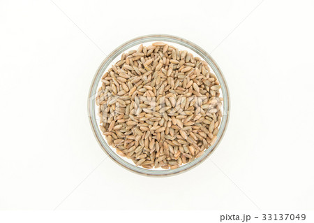 ライムギ：Rye berries 33137049