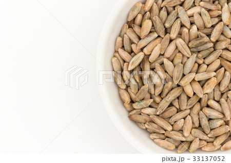 ライムギ：Rye berries 33137052