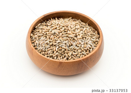 ライムギ:Rye berries ライムギ:Rye berries 33137053