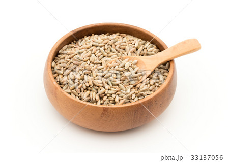 ライムギ：Rye berries 33137056