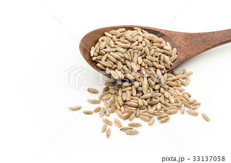 ライムギ：Rye berries 33137058