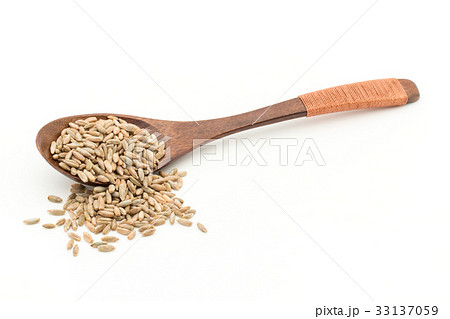 ライムギ：Rye berries 33137059