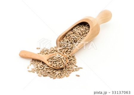 ライムギ：Rye berries 33137063