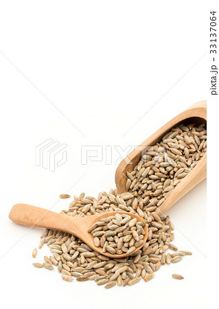 ライムギ：Rye berries 33137064