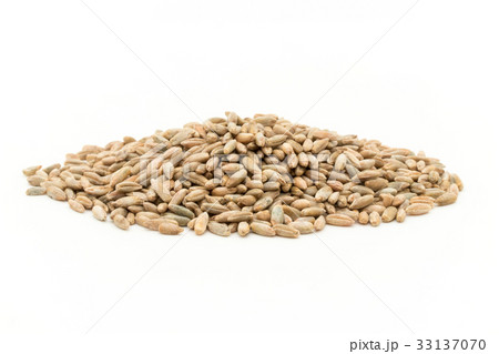 ライムギ：Rye berries 33137070