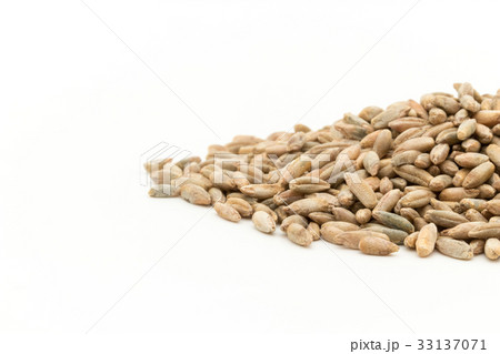 ライムギ：Rye berries 33137071
