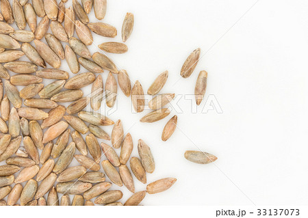 ライムギ：Rye berries 33137073