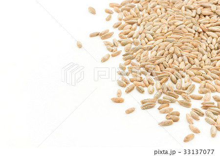 ライムギ：Rye berries 33137077
