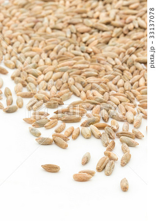 ライムギ：Rye berries 33137078