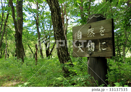 榛名山の遊歩道 33137535