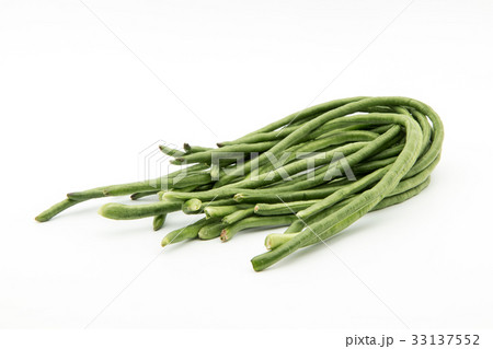 ジュウロクササゲ（ロングビーン）: Yardlong bean 33137552