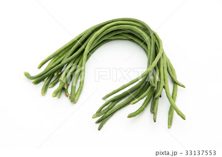 ジュウロクササゲ(ロングビーン): Yardlong bean ジュウロクササゲ(ロングビーン): Yardlong bean 33137553
