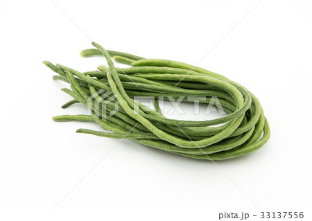 ジュウロクササゲ（ロングビーン）: Yardlong bean 33137556