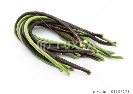 ジュウロクササゲ(ロングビーン): Yardlong bean ジュウロクササゲ(ロングビーン): Yardlong bean 33137573