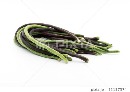 ジュウロクササゲ(ロングビーン): Yardlong bean ジュウロクササゲ(ロングビーン): Yardlong bean 33137574