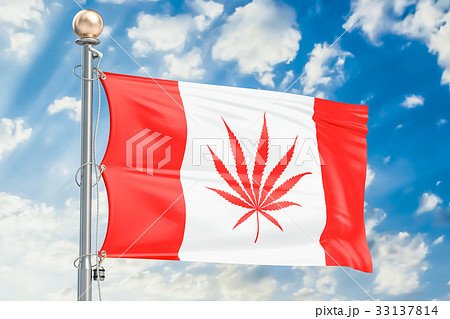 Legalization of cannabis in Canada. Canadian flag 33137814