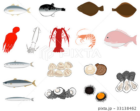 魚介類のイラストセットのイラスト素材