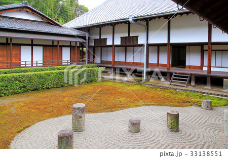 京都　初夏の東福寺 33138551