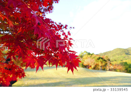 秋の紅葉 秋の紅葉 33139545