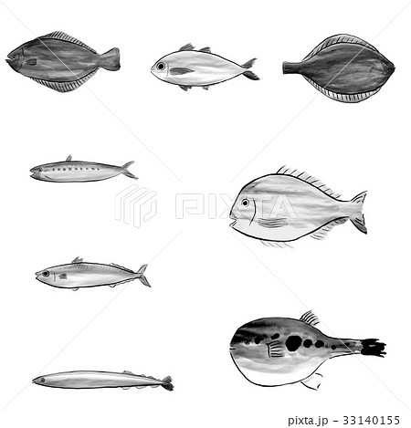 魚介類セット １ 水墨画の魚介類 のイラスト素材