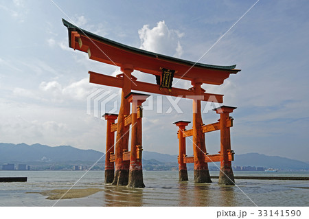 厳島神社 引き潮の大鳥居の写真素材