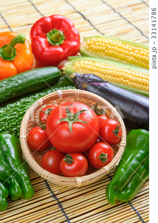 夏野菜 夏野菜 33141786
