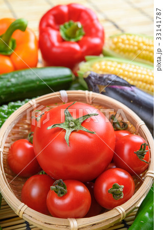 夏野菜 夏野菜 33141787