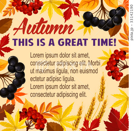 Autumn vector poster acorn leaf, rowan berry 33142190