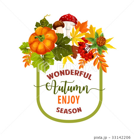 Autumn season maple leaf or pumpkin vector poster 33142206