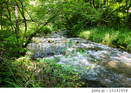 軽井沢のハルニレテラス内に流れる湯川の写真素材