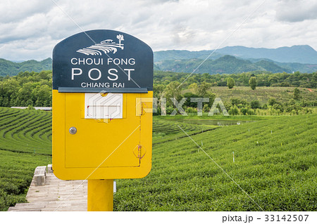 Yellow post box set at outdoor in Chui Fong Tea Yellow post box set at outdoor in Chui Fong Tea 33142507