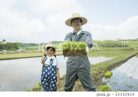 田植えイメージ　米農家　親子 33142914