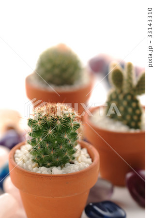 ミニサボテン　パワーストーン　 33143310