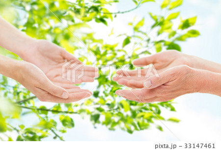 close up of senior and young woman hands close up of senior and young woman hands 33147461
